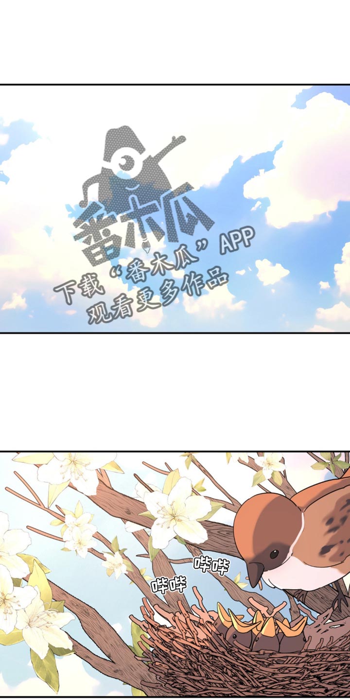 无根之树漫画,第101章：不想让你们担心1图