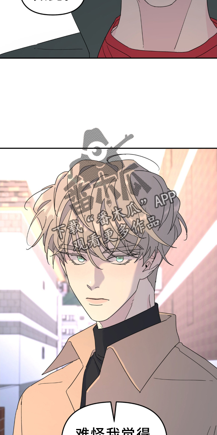 无根之树简历漫画,第78章：撞见2图