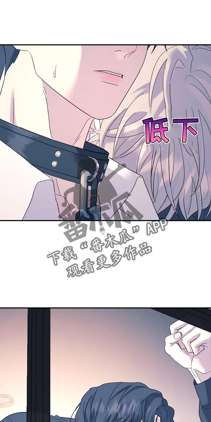 无根之树漫画,第117章：【第二季】心情好到无语5图