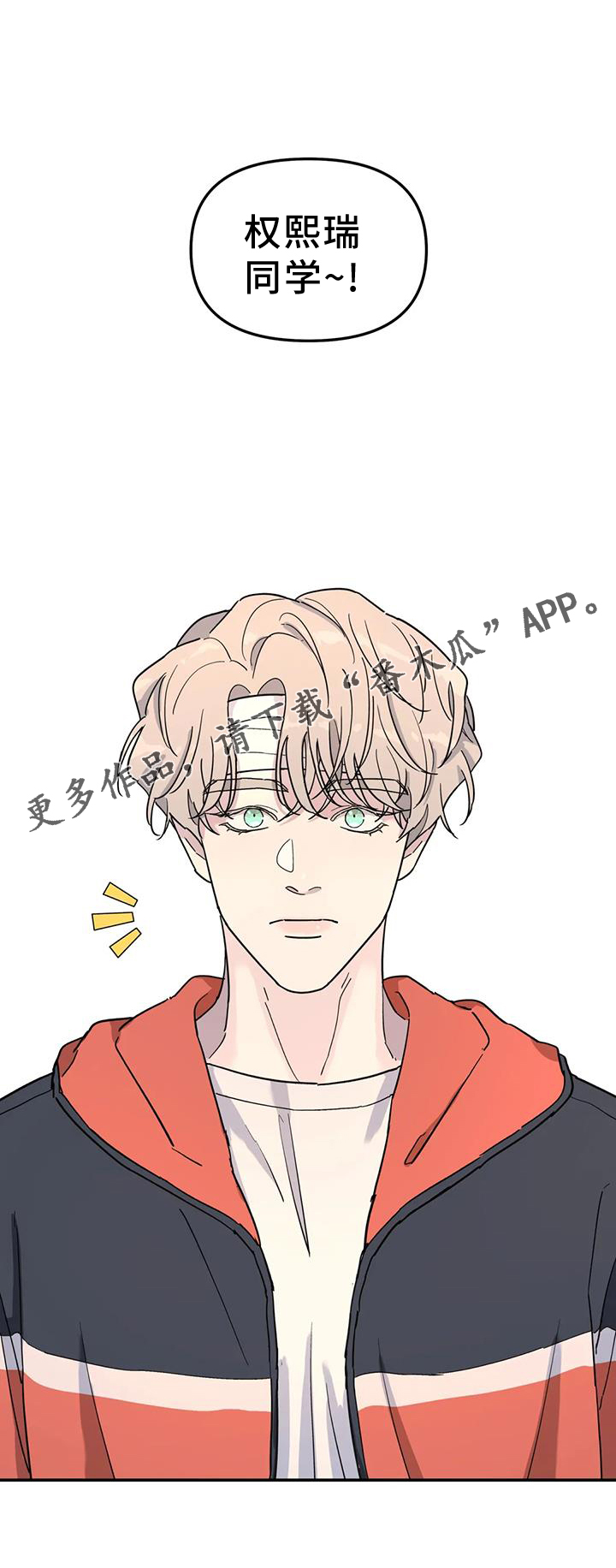 无根之树漫画,第67章：报告3图