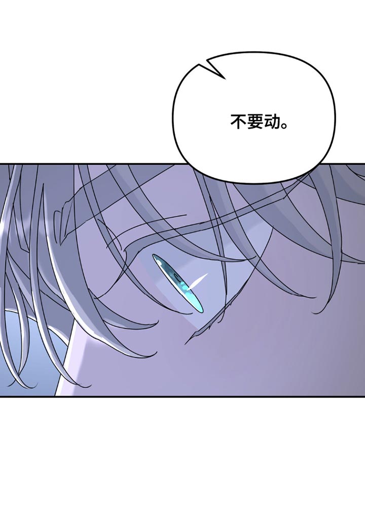 第154章：【第二季】不要动！2