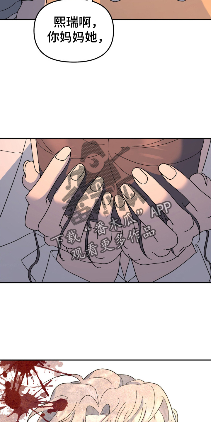 无根之树漫画,第94章：他杀1图