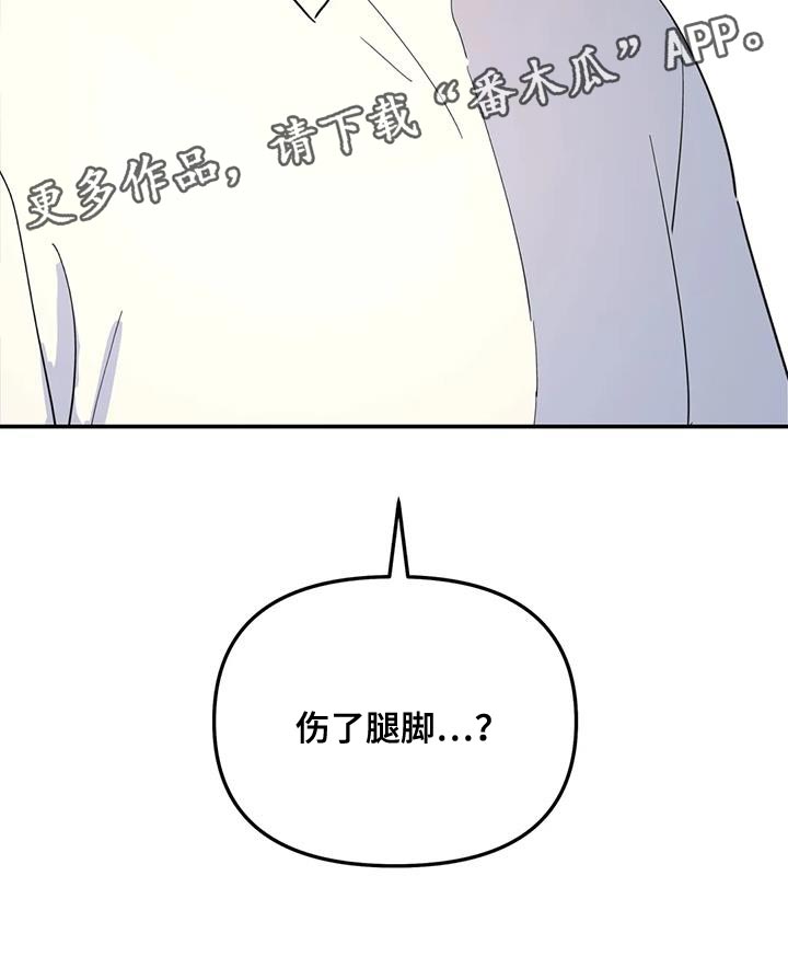 无根之树漫画,第59章：伤了腿脚5图