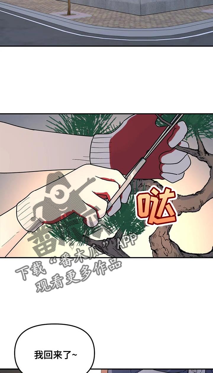 无根之树漫画,第59章：伤了腿脚2图