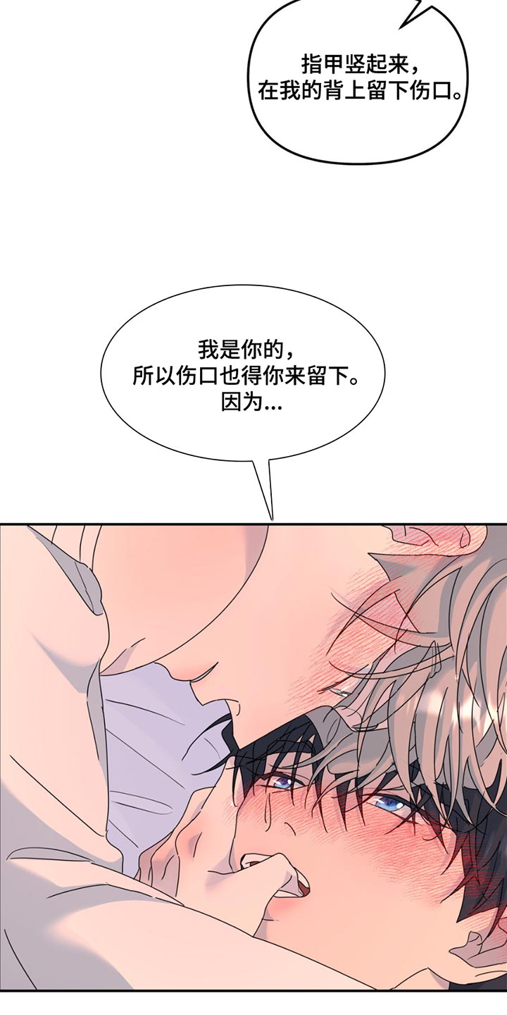 第144章：【第二季】保险箱的枪4