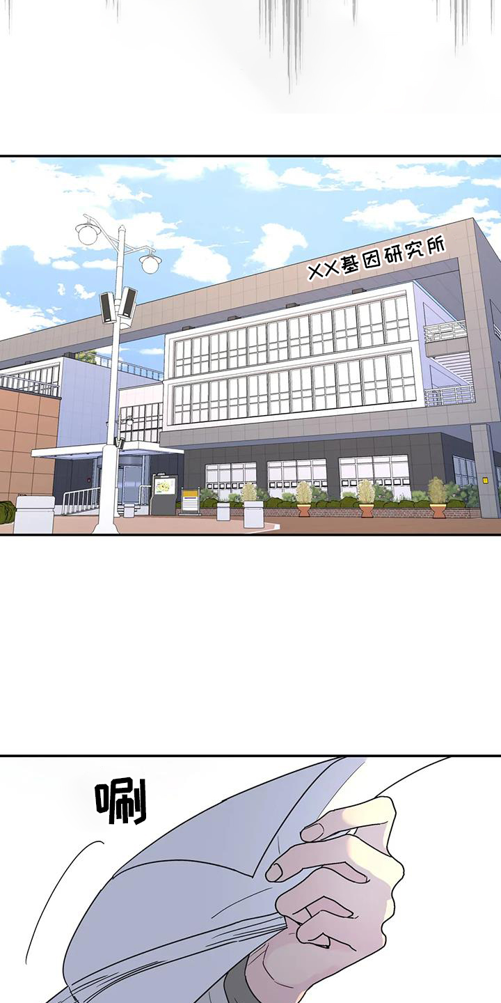 无根之树漫画,第71章：秘密5图