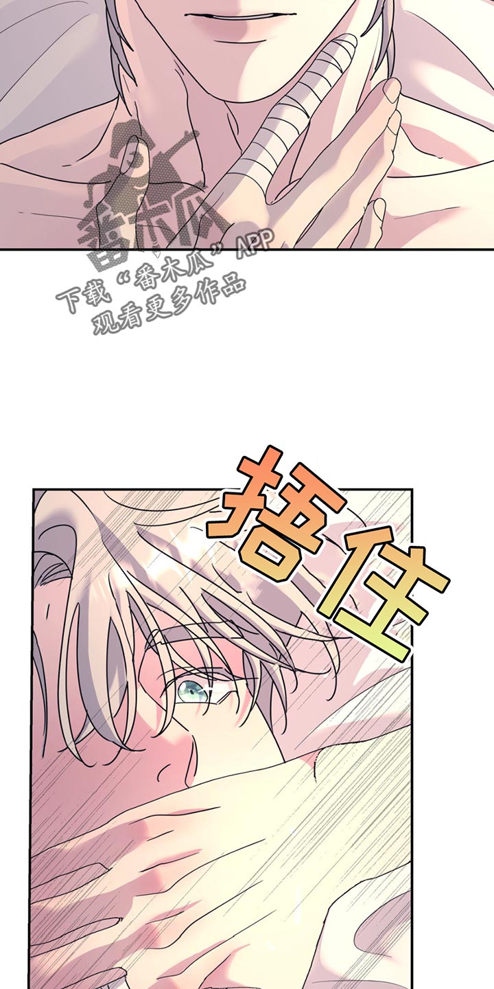 无根之树人物介绍漫画,第136章：【第二季】你的喜好1图