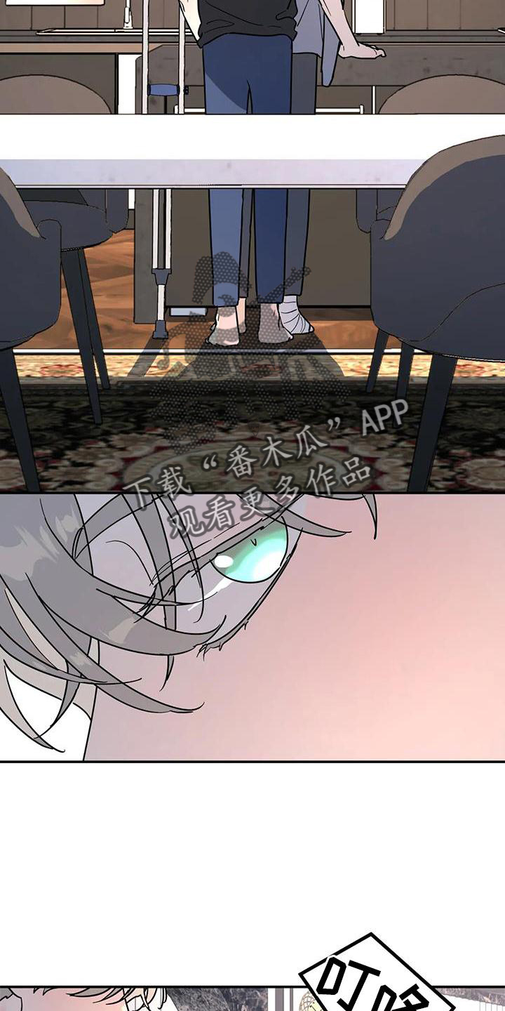 无根之树漫画,第35章：揣测5图