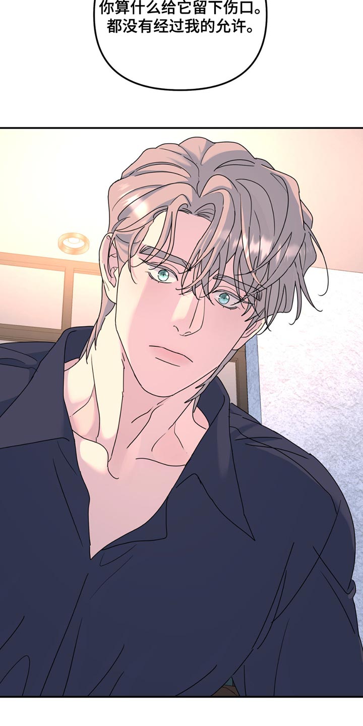 无根之树漫画,第143章：【第二季】不喜欢你受伤5图