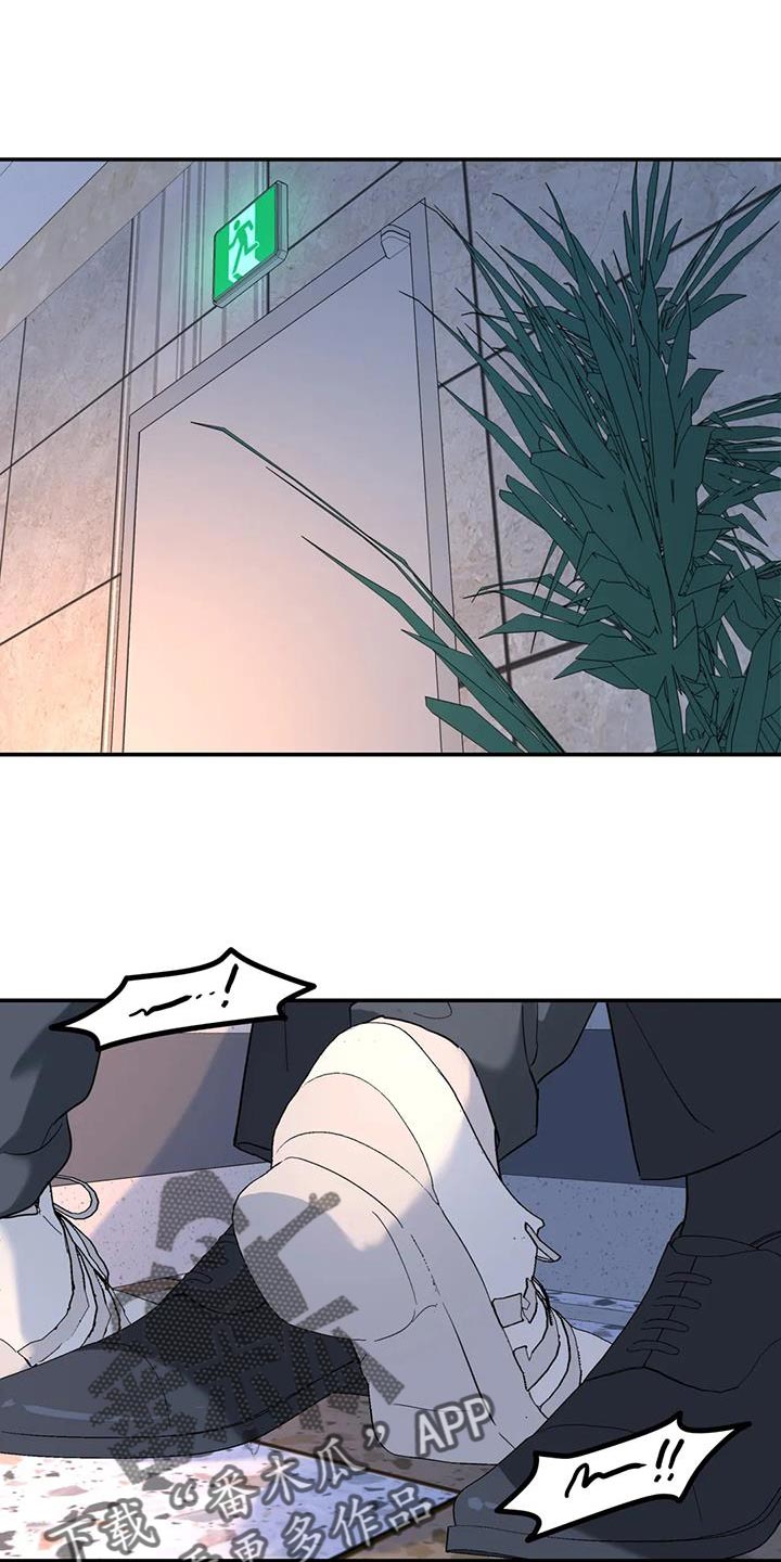 无根之树漫画,第59章：伤了腿脚1图