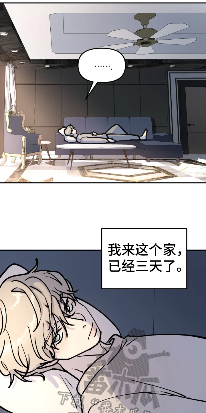 第9章：带回家3