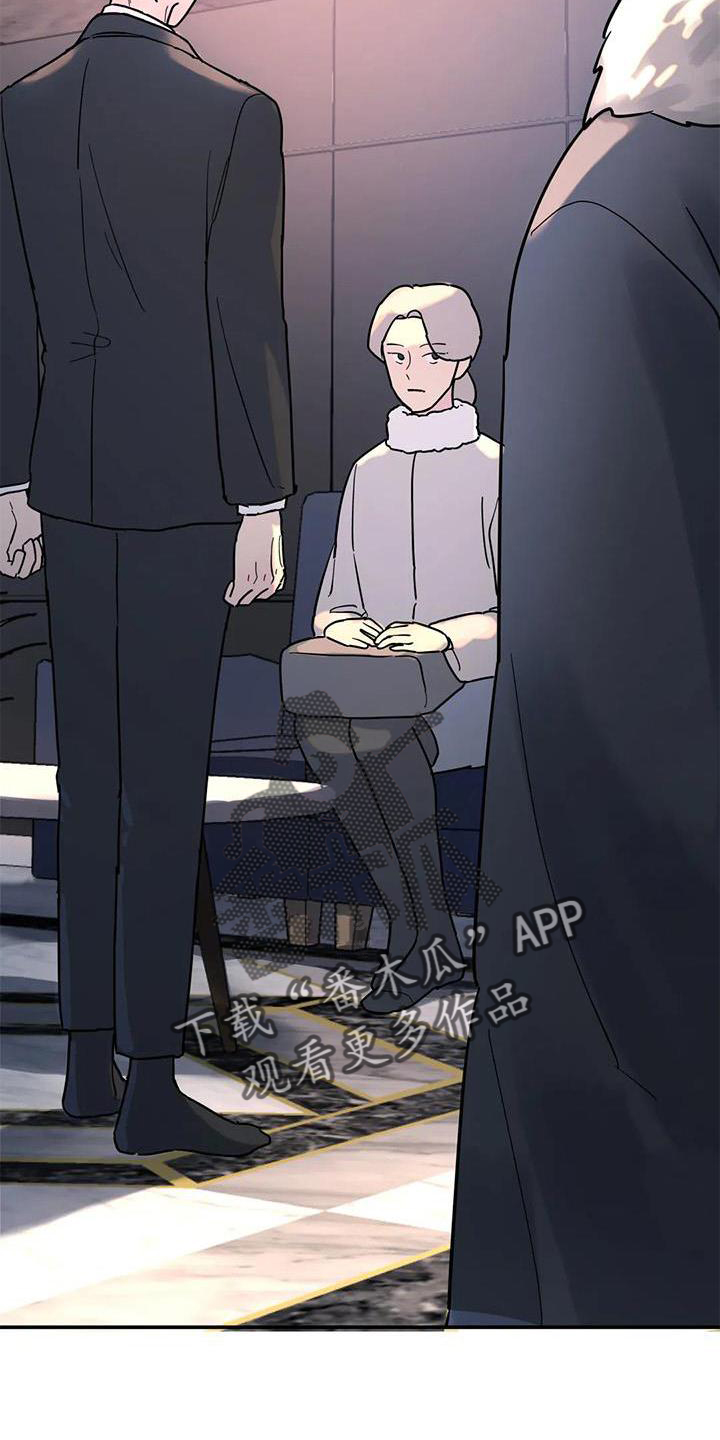 无根之树简历漫画,第20章：惊喜3图