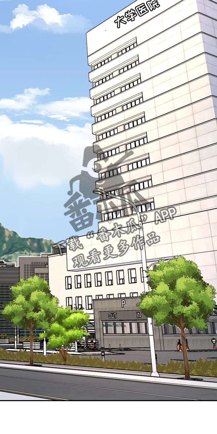 无根之树漫画,第67章：报告2图