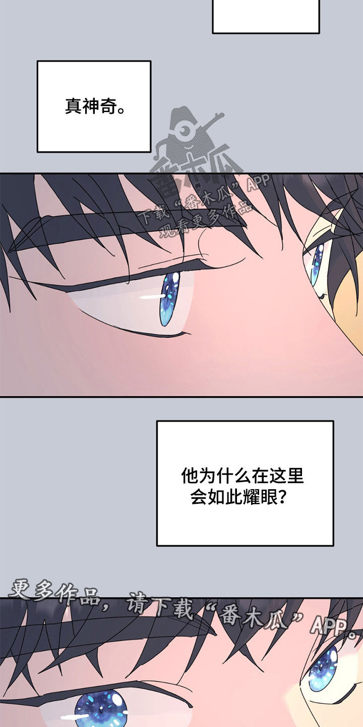 第146章：【第二季】耀眼发光1