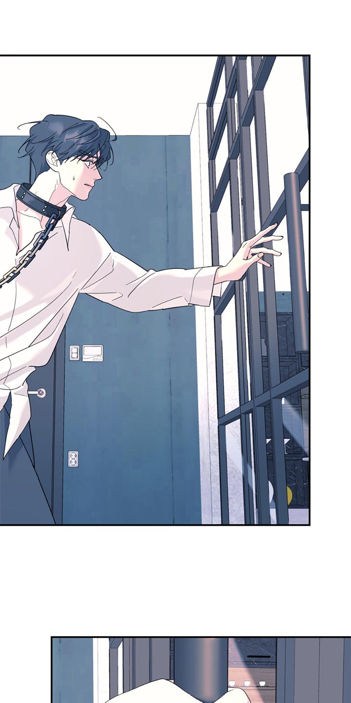 无根之树漫画,第117章：【第二季】心情好到无语3图