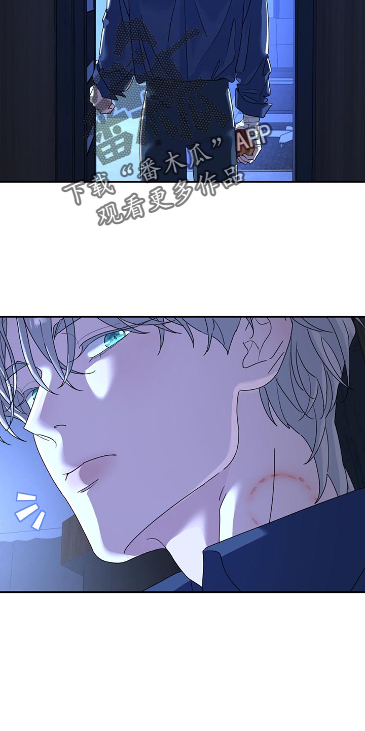 第144章：【第二季】保险箱的枪3