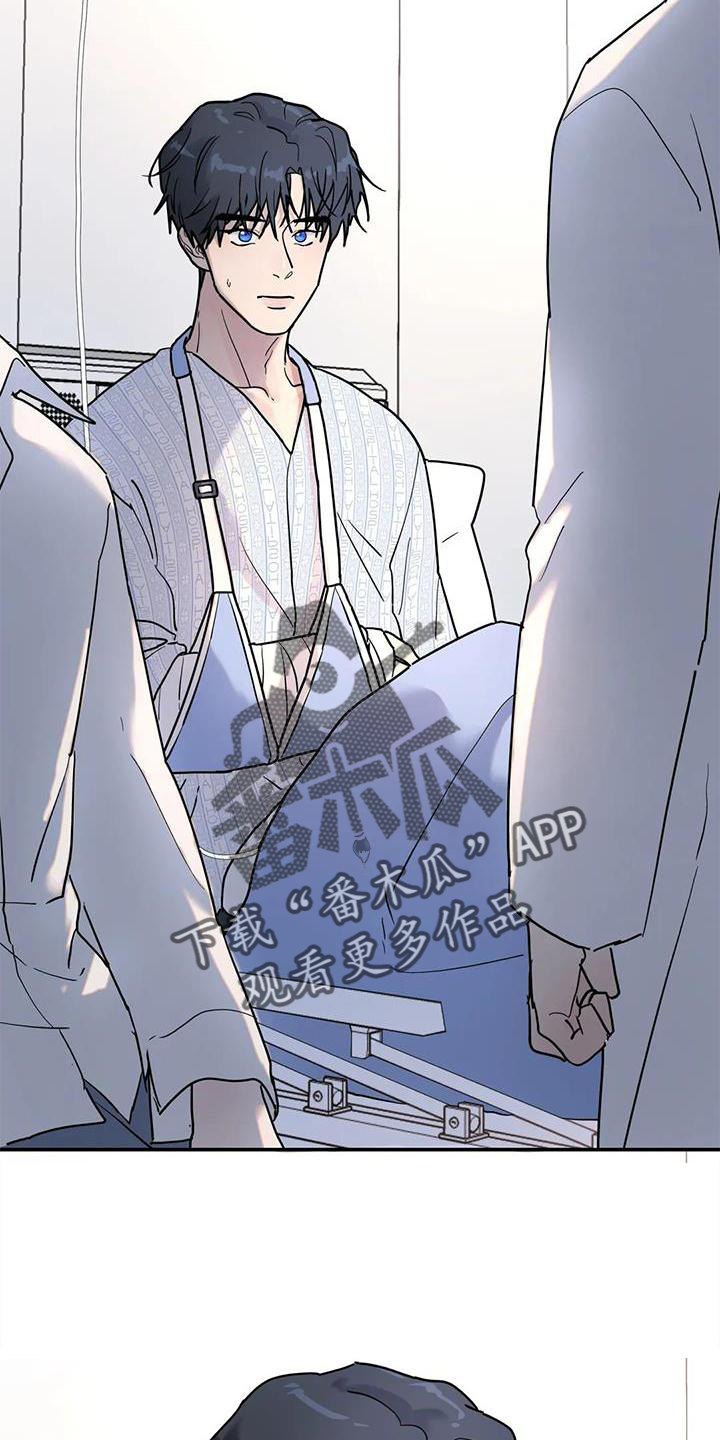 无根之树漫画,第27章：回家5图