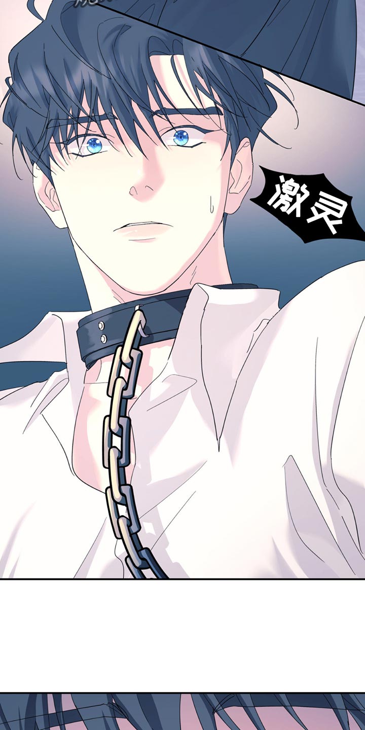 第117章：【第二季】心情好到无语4