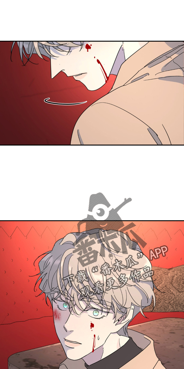 无根之树漫画,第83章：受伤3图