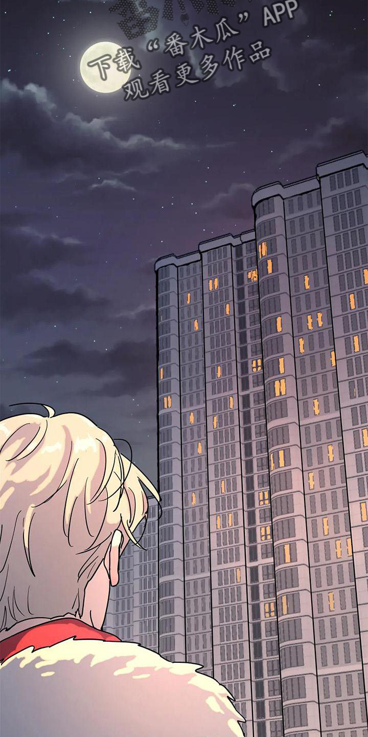 无根之树简历漫画,第20章：惊喜1图