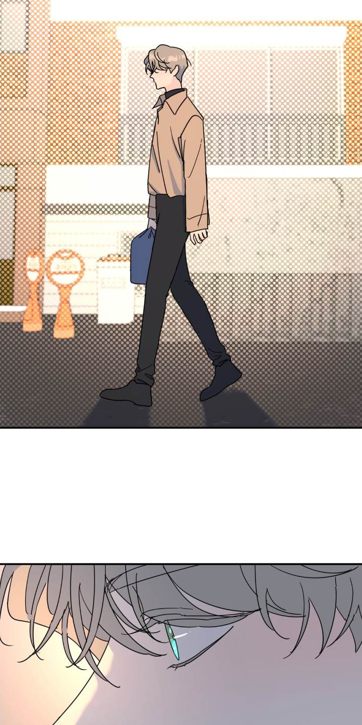 无根之树漫画,第77章：隐藏1图