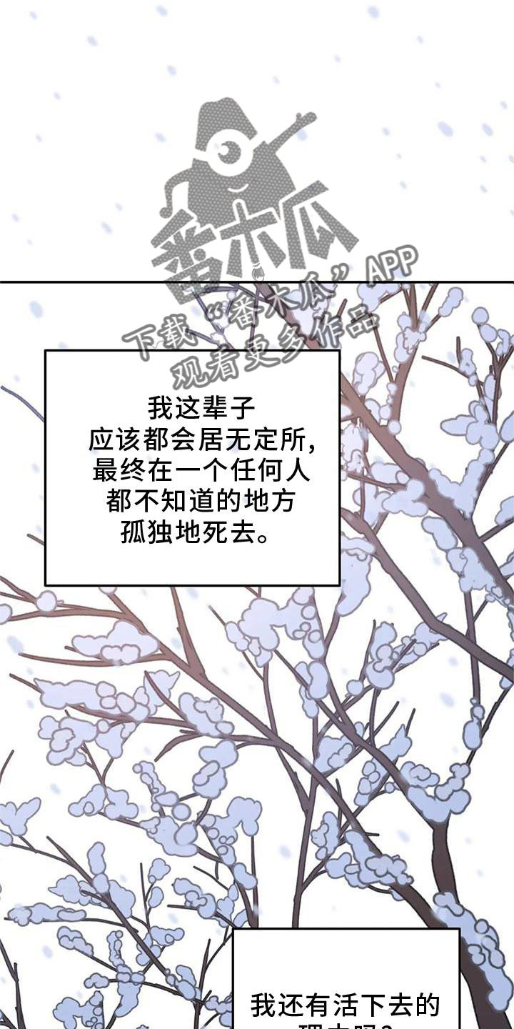 无根之树漫画,第26章：抓住5图