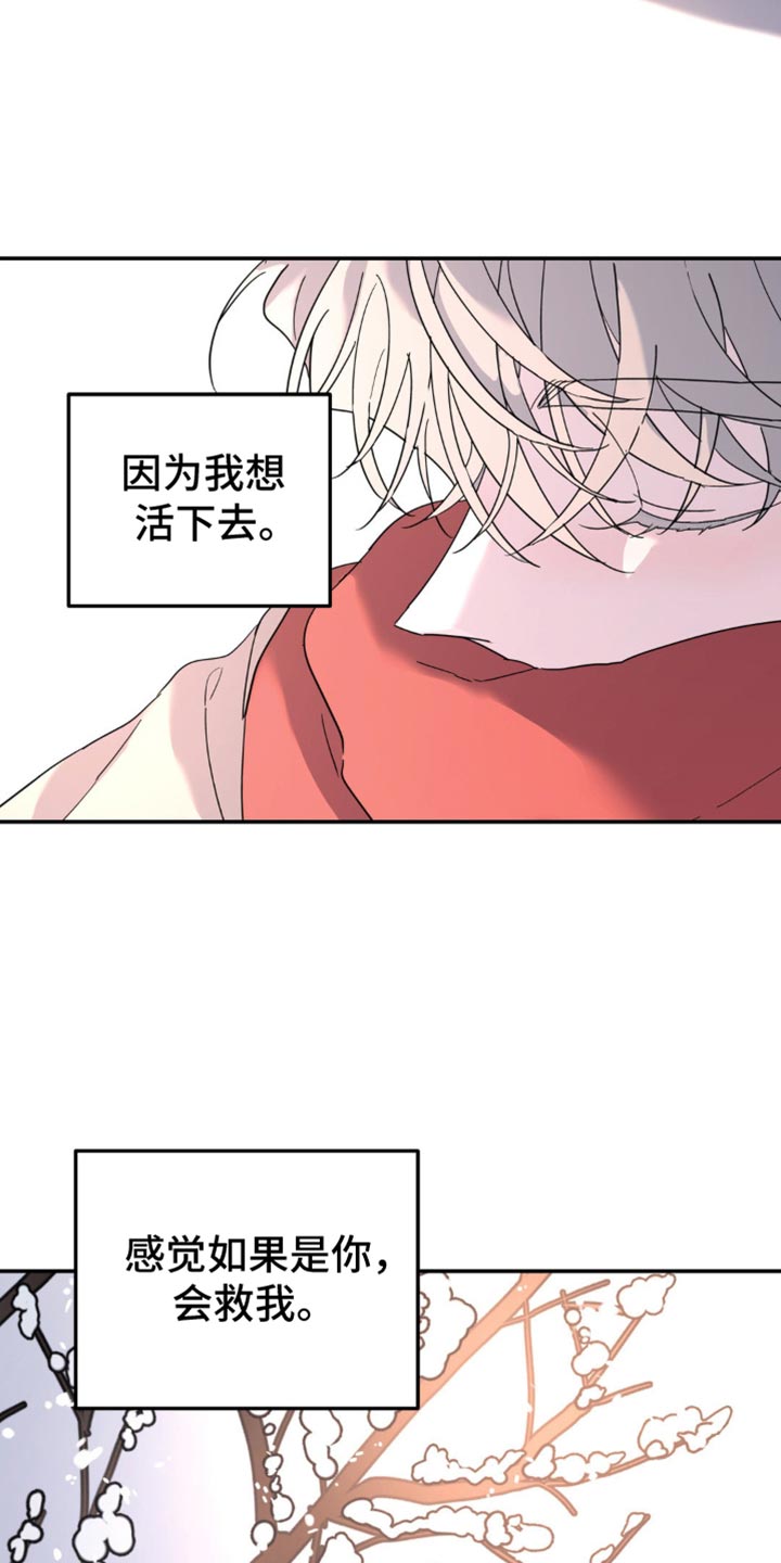无根之树漫画,第104章：跟我无关4图