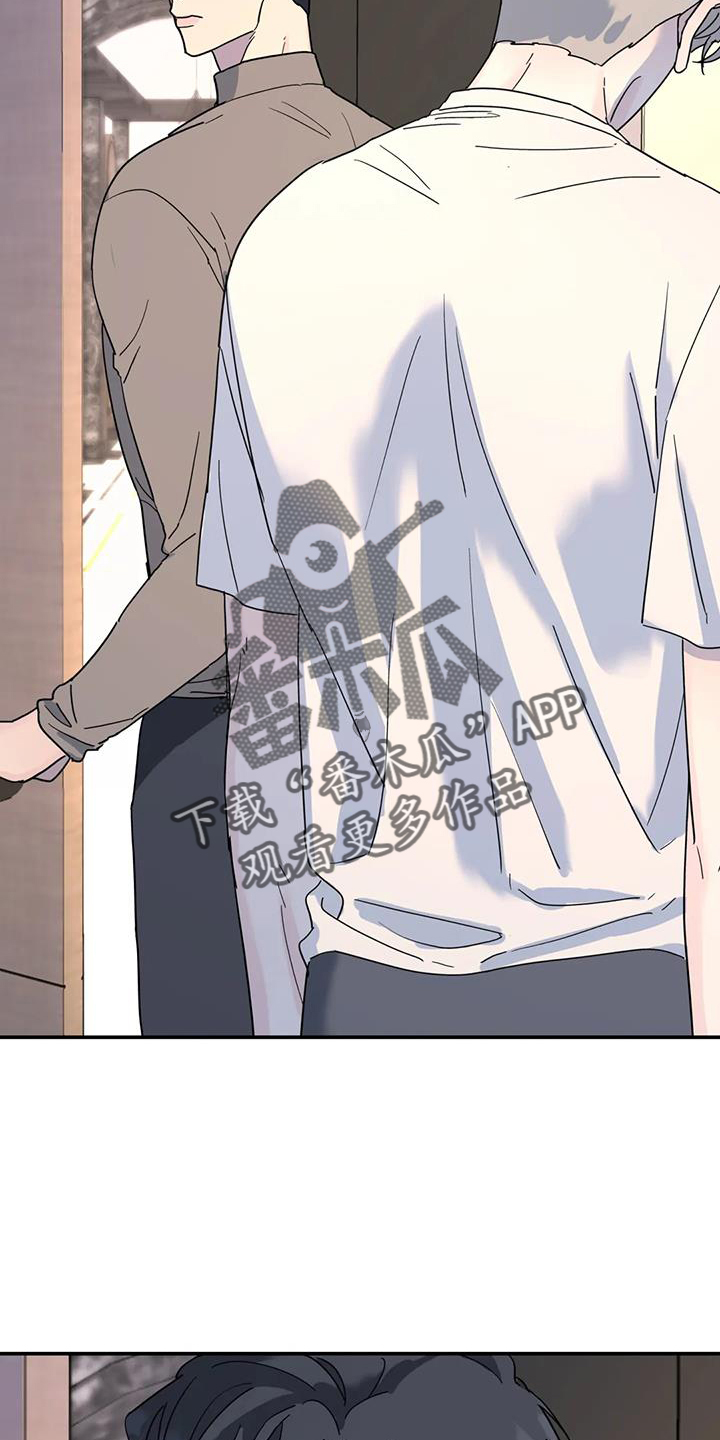 无根之树漫画,第72章：喜欢5图