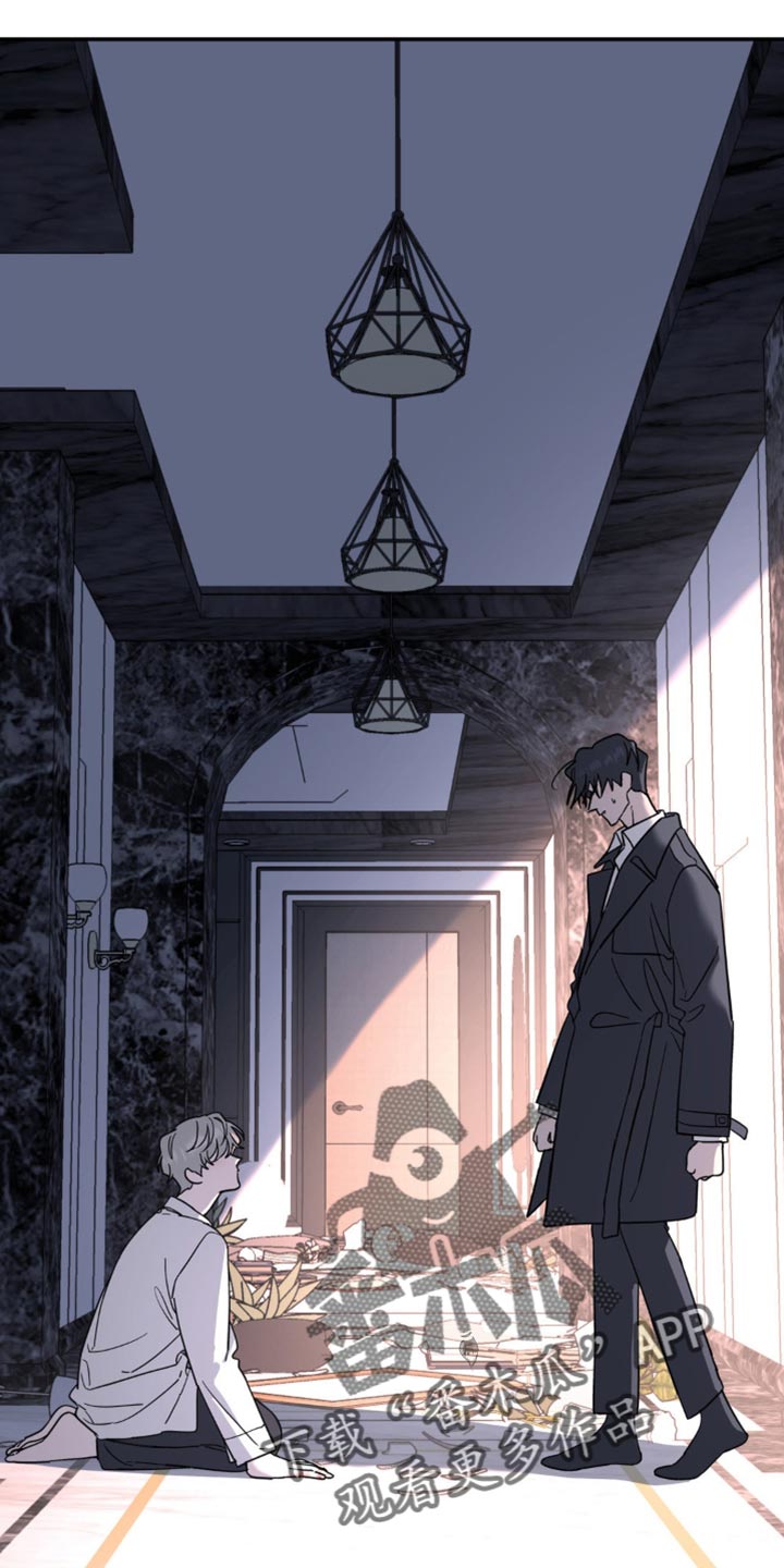 第103章：从来都没喜欢过你0