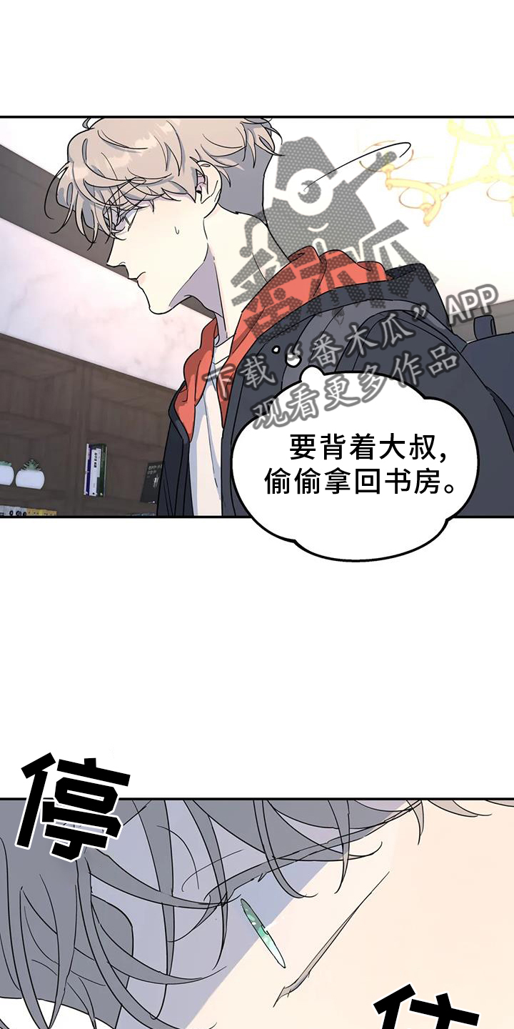 无根之树简历漫画,第70章：照片5图