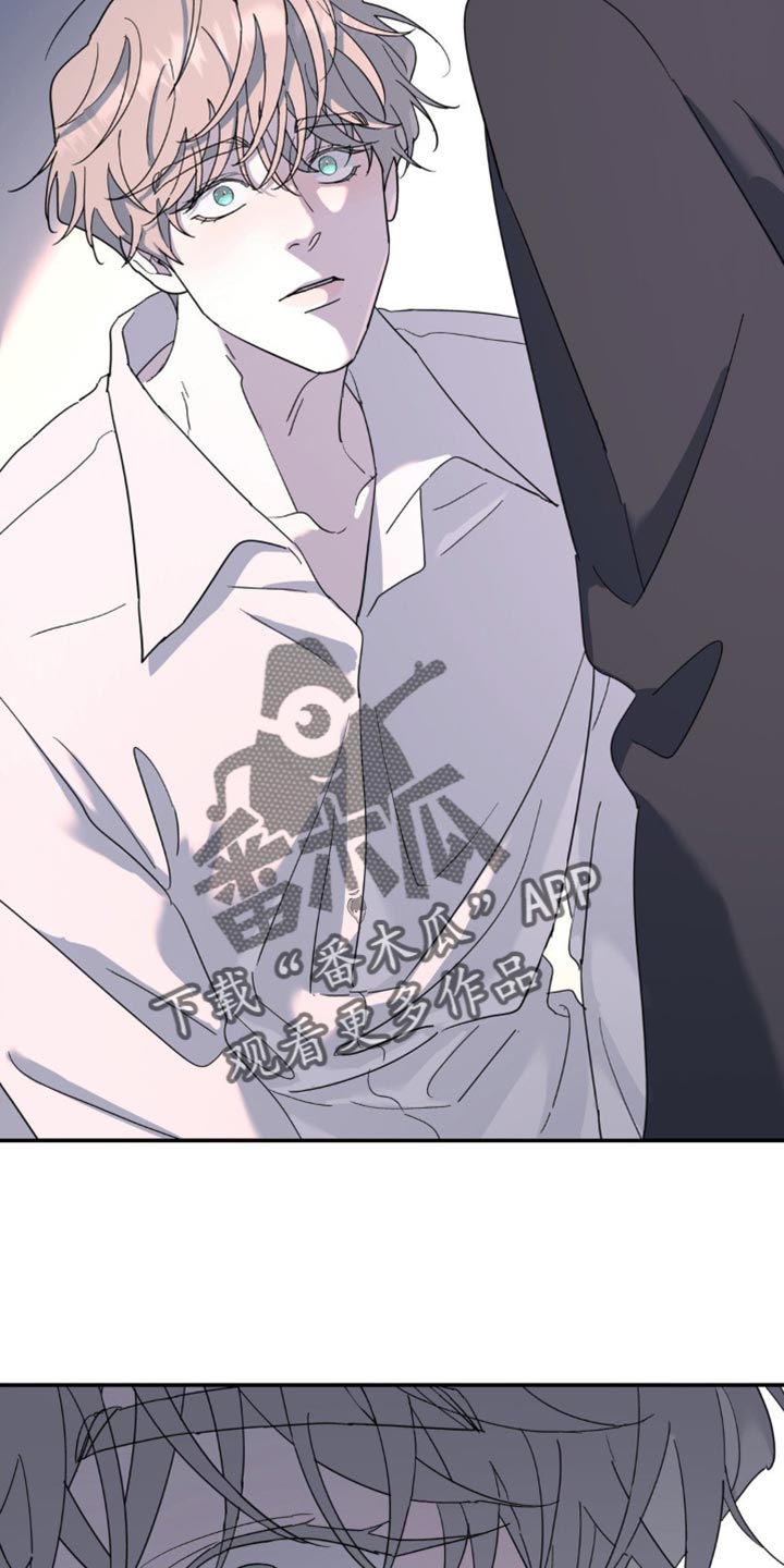 无根之树漫画完整版免费阅读看画涯最新漫画,第103章：从来都没喜欢过你5图