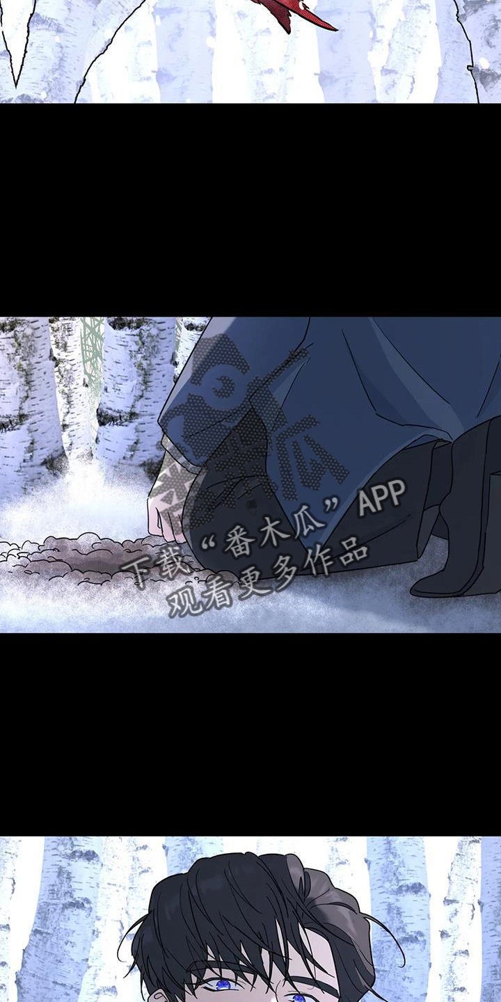 无根之树漫画,第71章：秘密2图