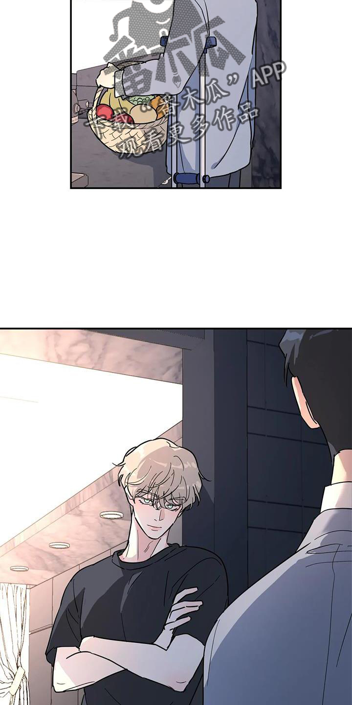 无根之树漫画,第37章：与你无关2图