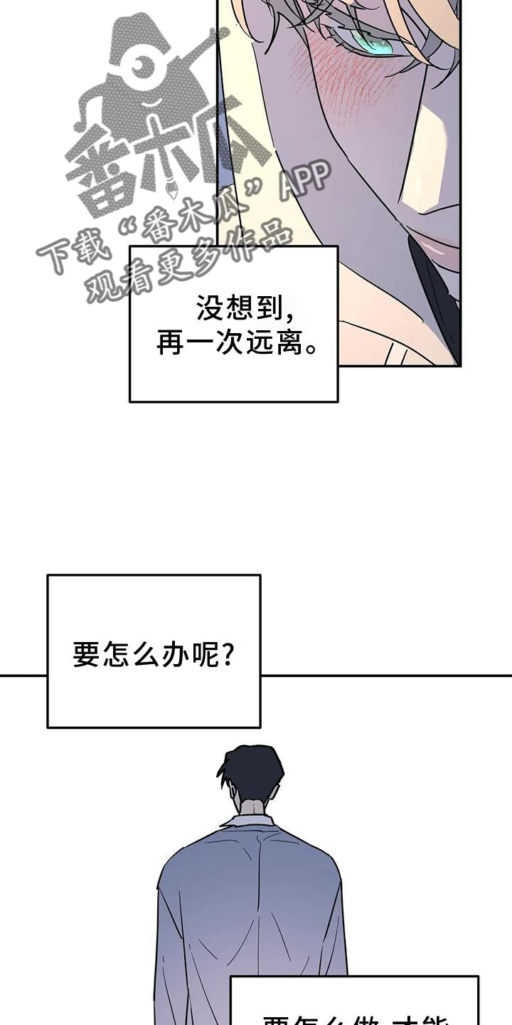 无根之树漫画,第38章：梦话5图