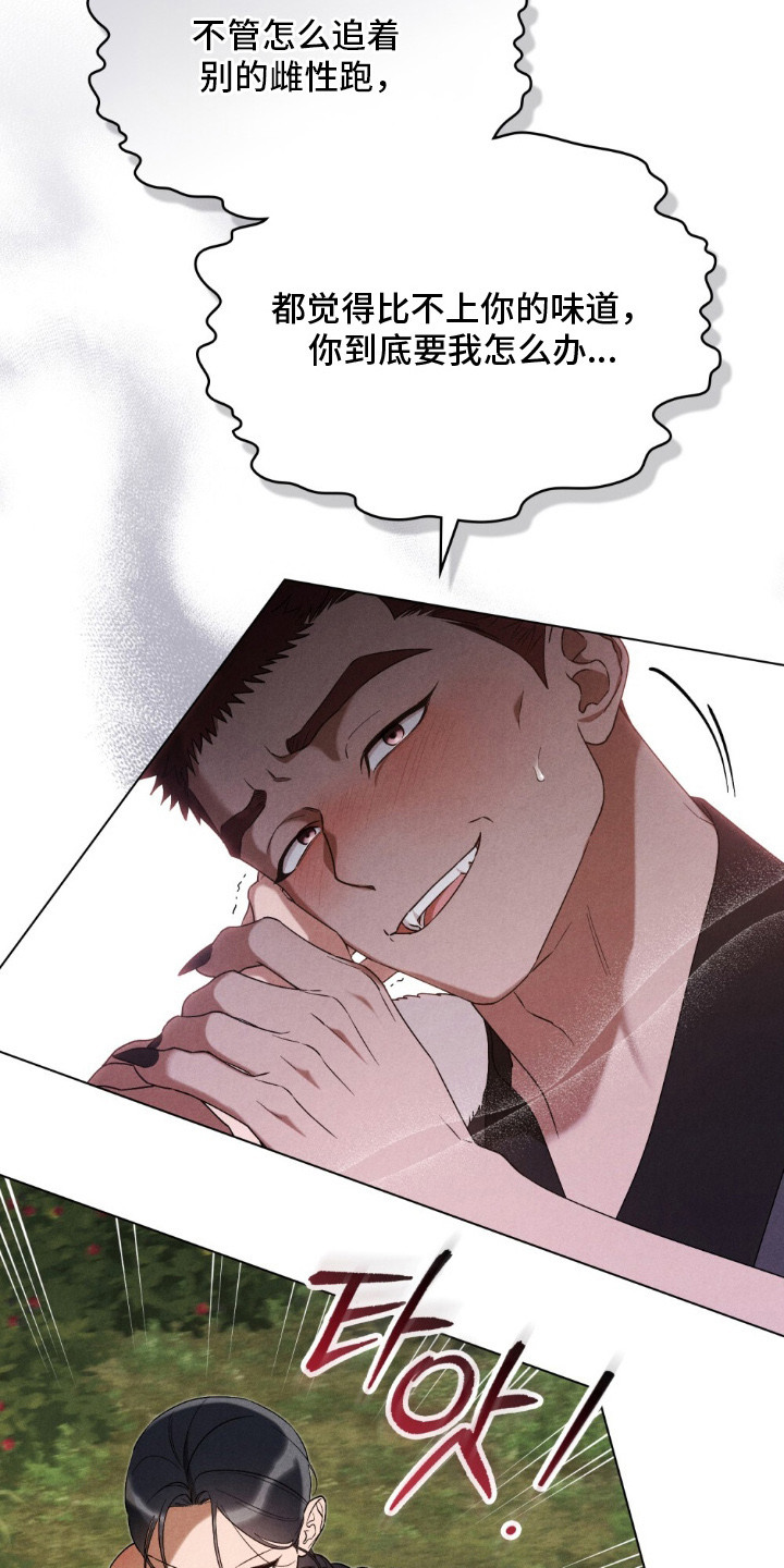 暖冬文案朋友圈漫画,第4章：觊觎4图