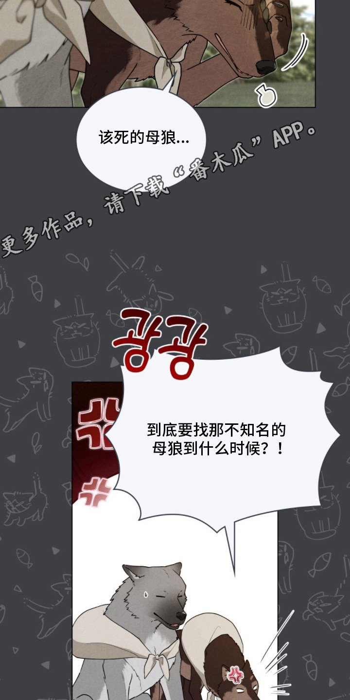 暖冬孤狼伴漫画,第8章：巧合4图