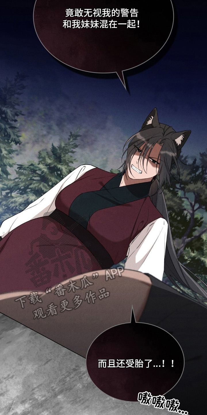 暖冬孤狼伴漫画,第5章：冥顽不灵5图