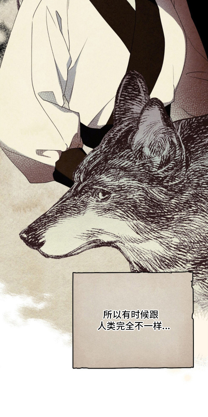 暖冬孤狼伴漫画,第2章：半人半兽4图