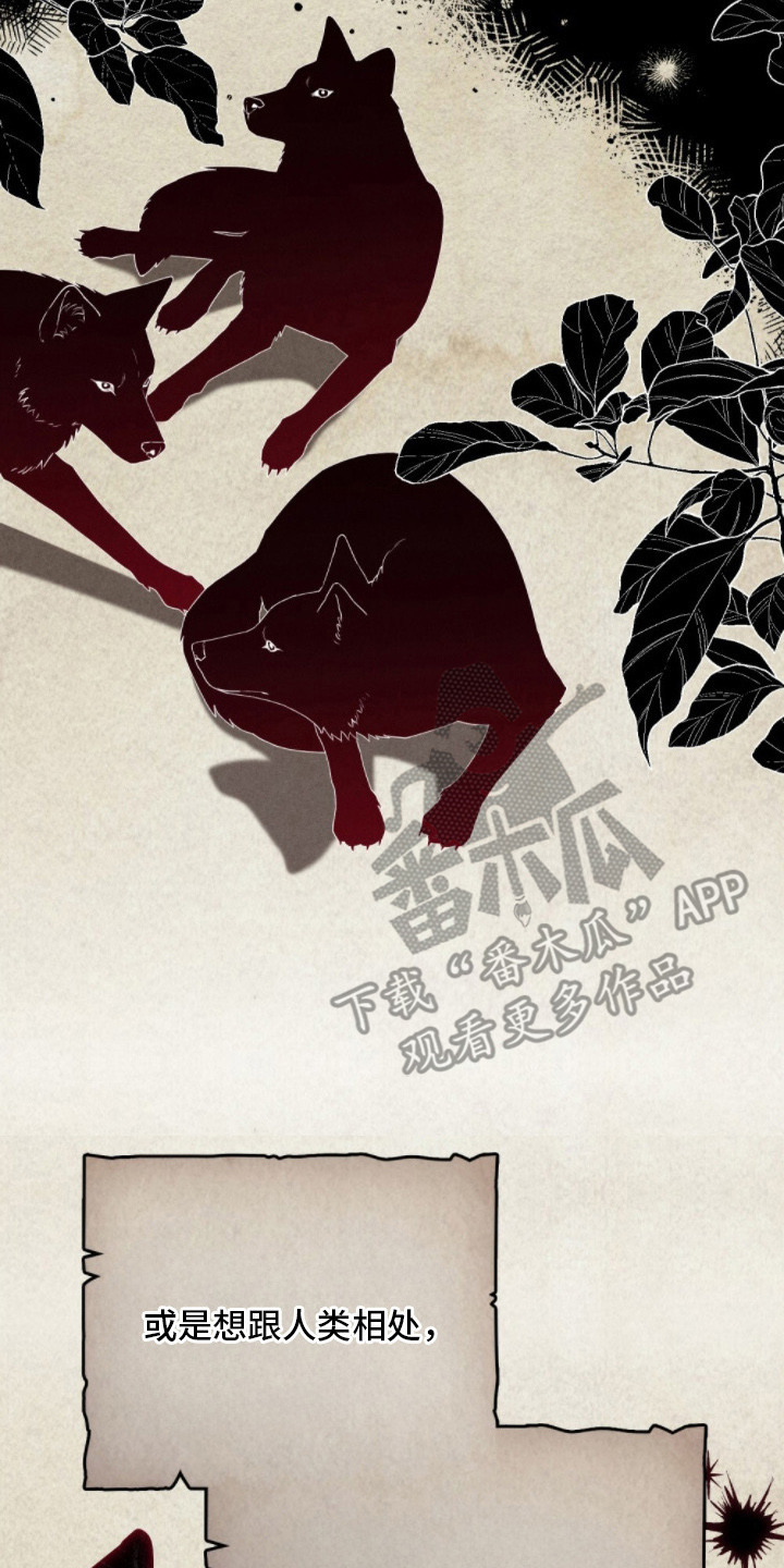 暖冬孤狼伴漫画,第2章：半人半兽5图