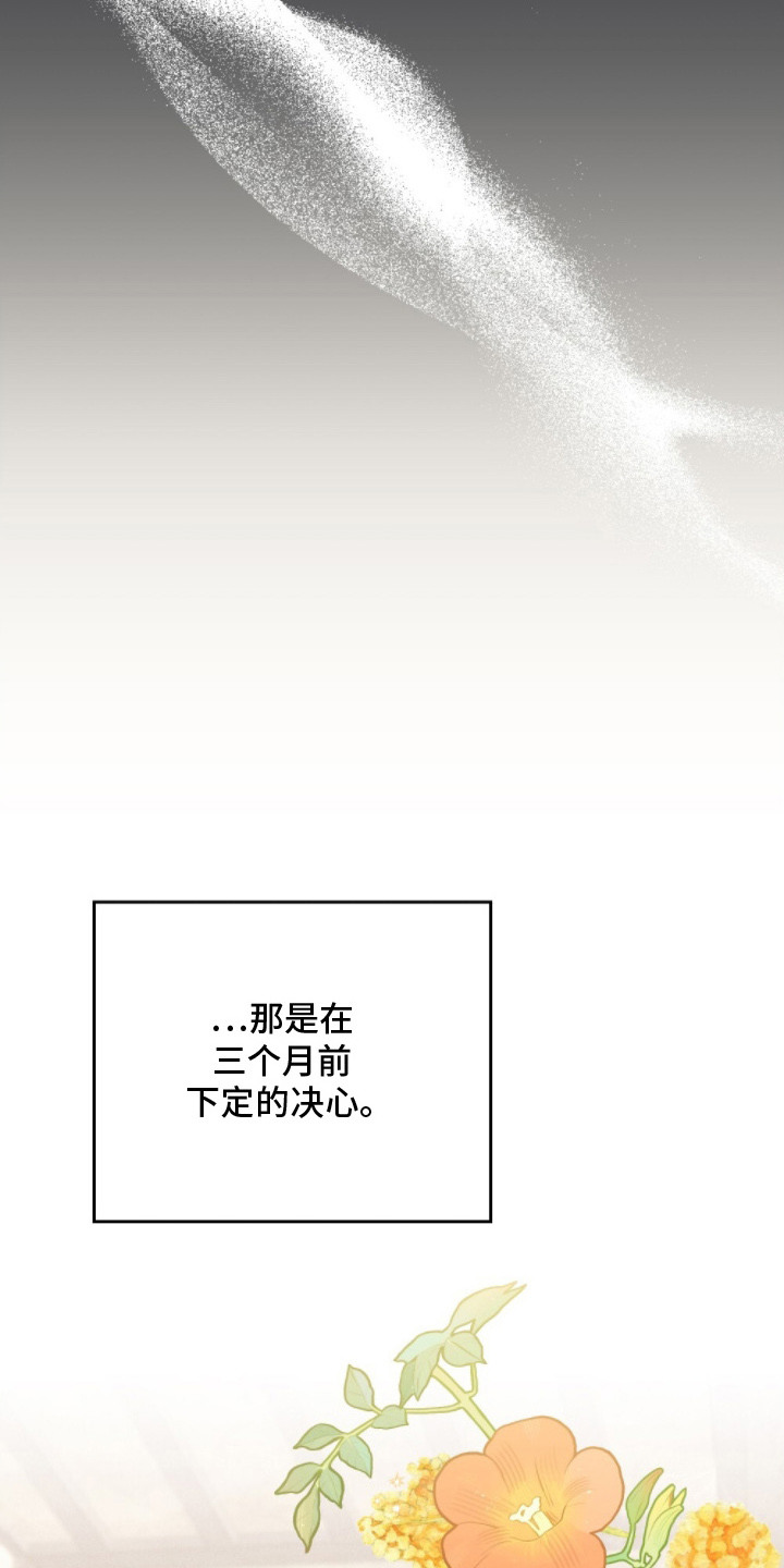 暖冬电视连续剧20集免费看漫画,第9章：决心1图