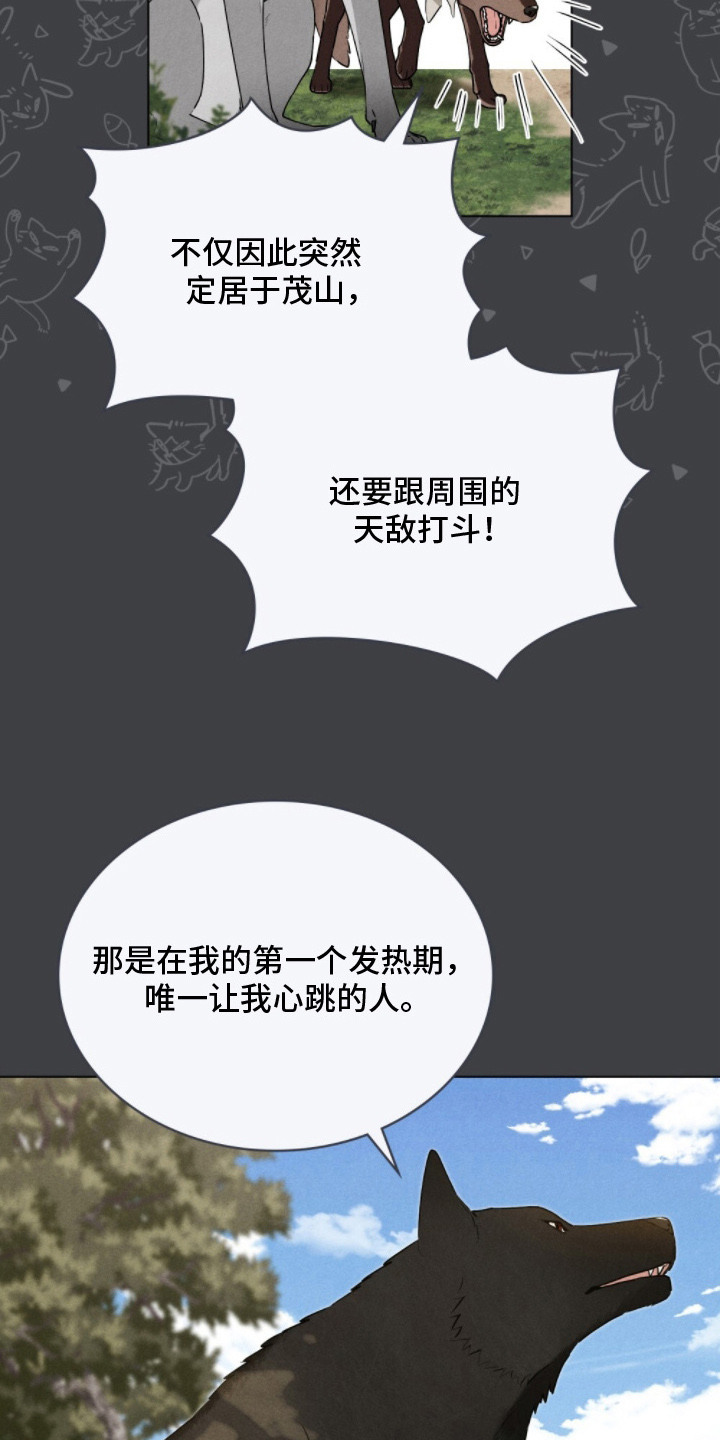 暖冬孤狼伴漫画,第8章：巧合5图
