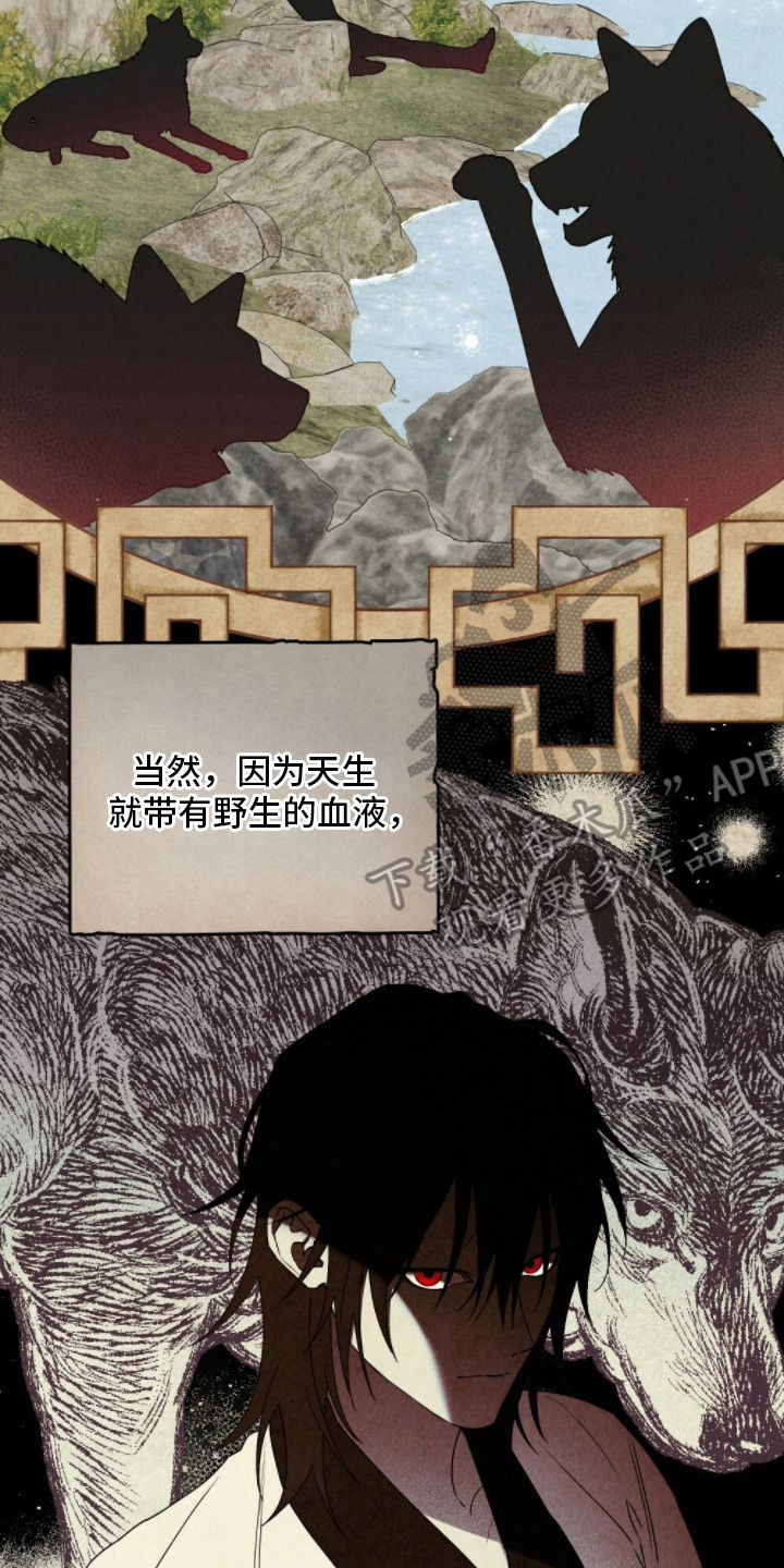 暖冬孤狼伴漫画,第2章：半人半兽3图