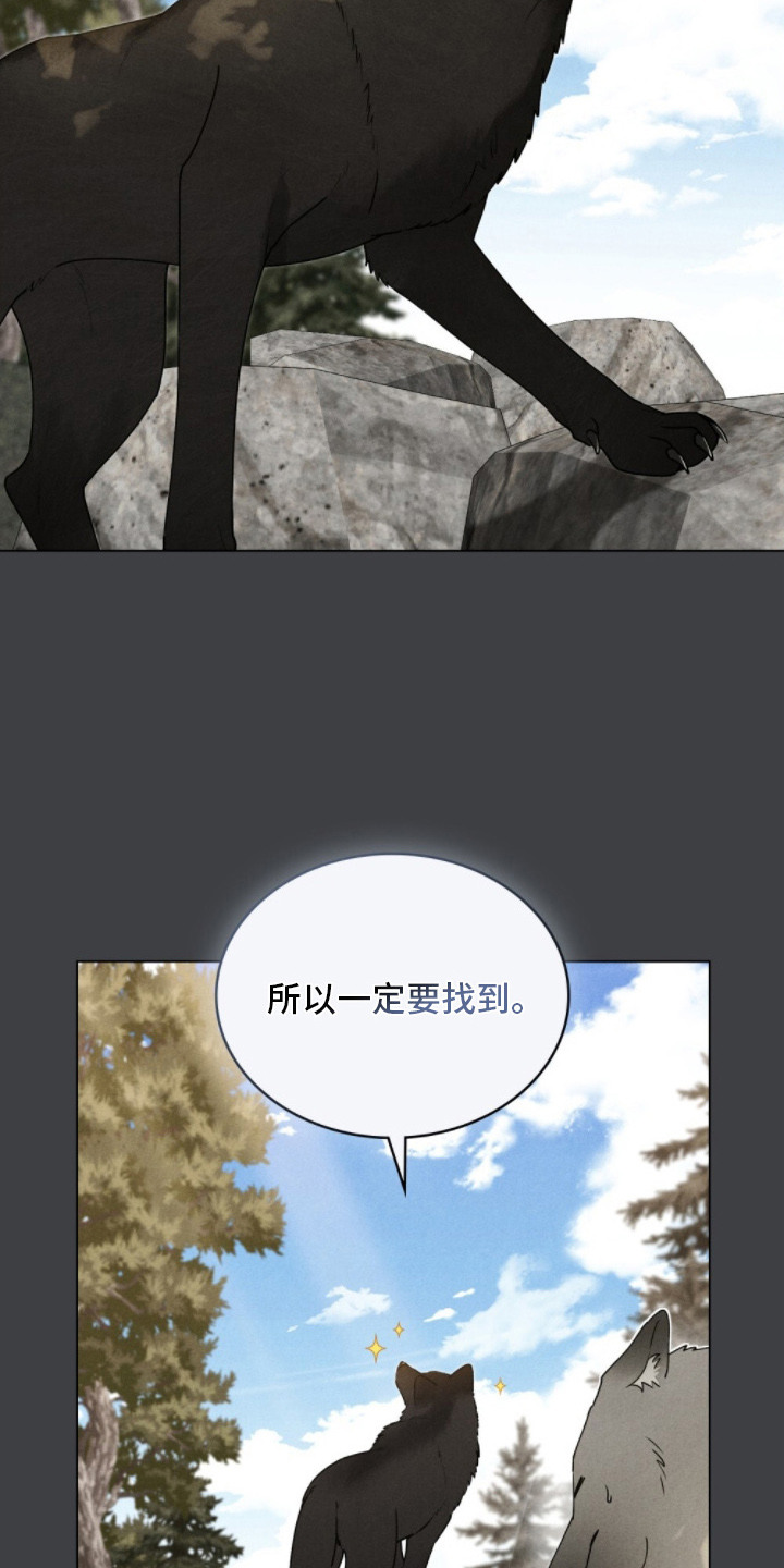 暖冬孤狼伴漫画,第8章：巧合1图