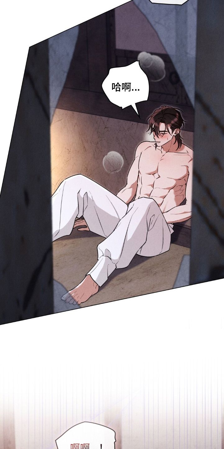 暖冬孤狼伴原名漫画,第11章：声响5图