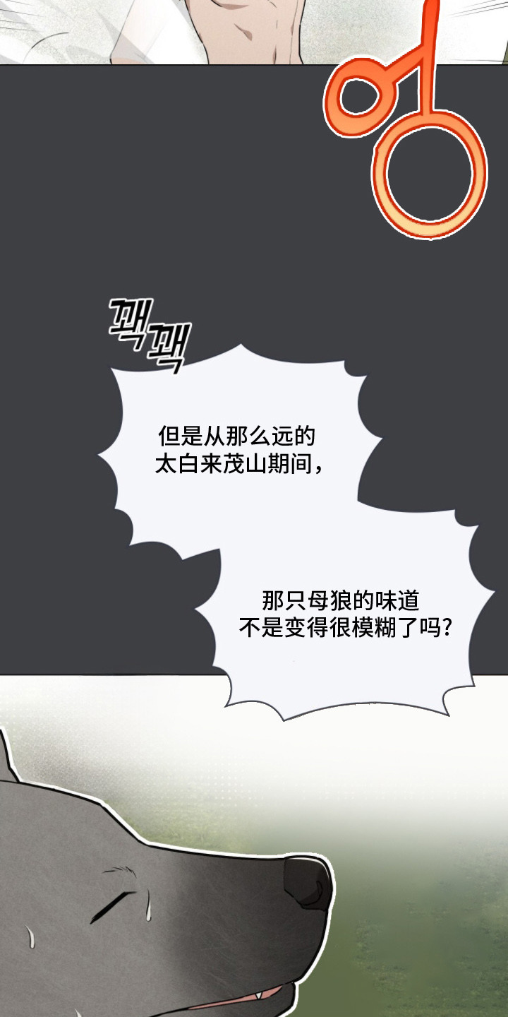 暖冬孤狼伴漫画,第8章：巧合3图