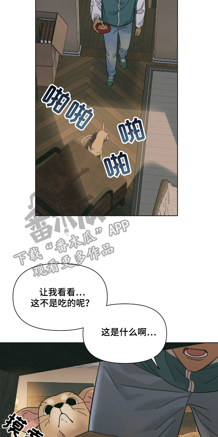 第3章：灯下黑3