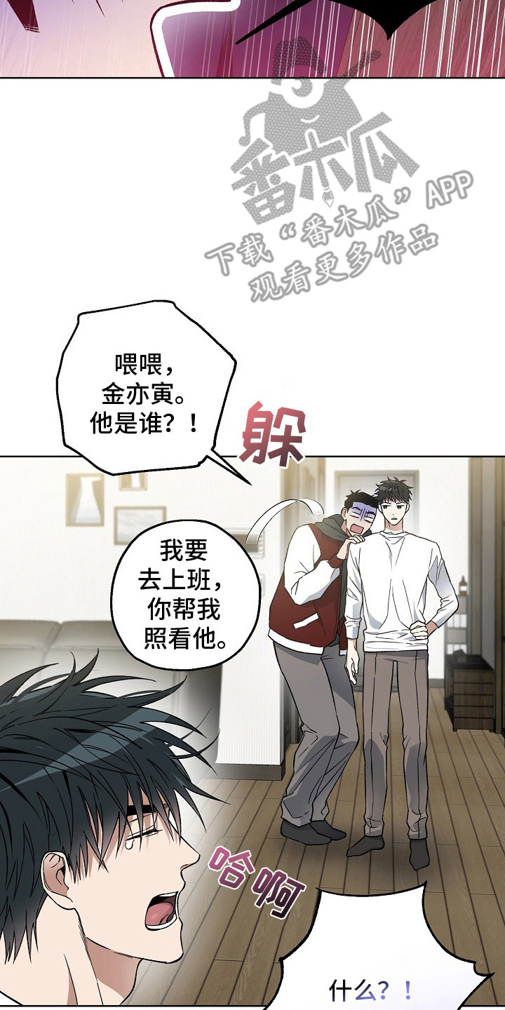 猛兽育儿书漫画,第11章：哄睡觉4图
