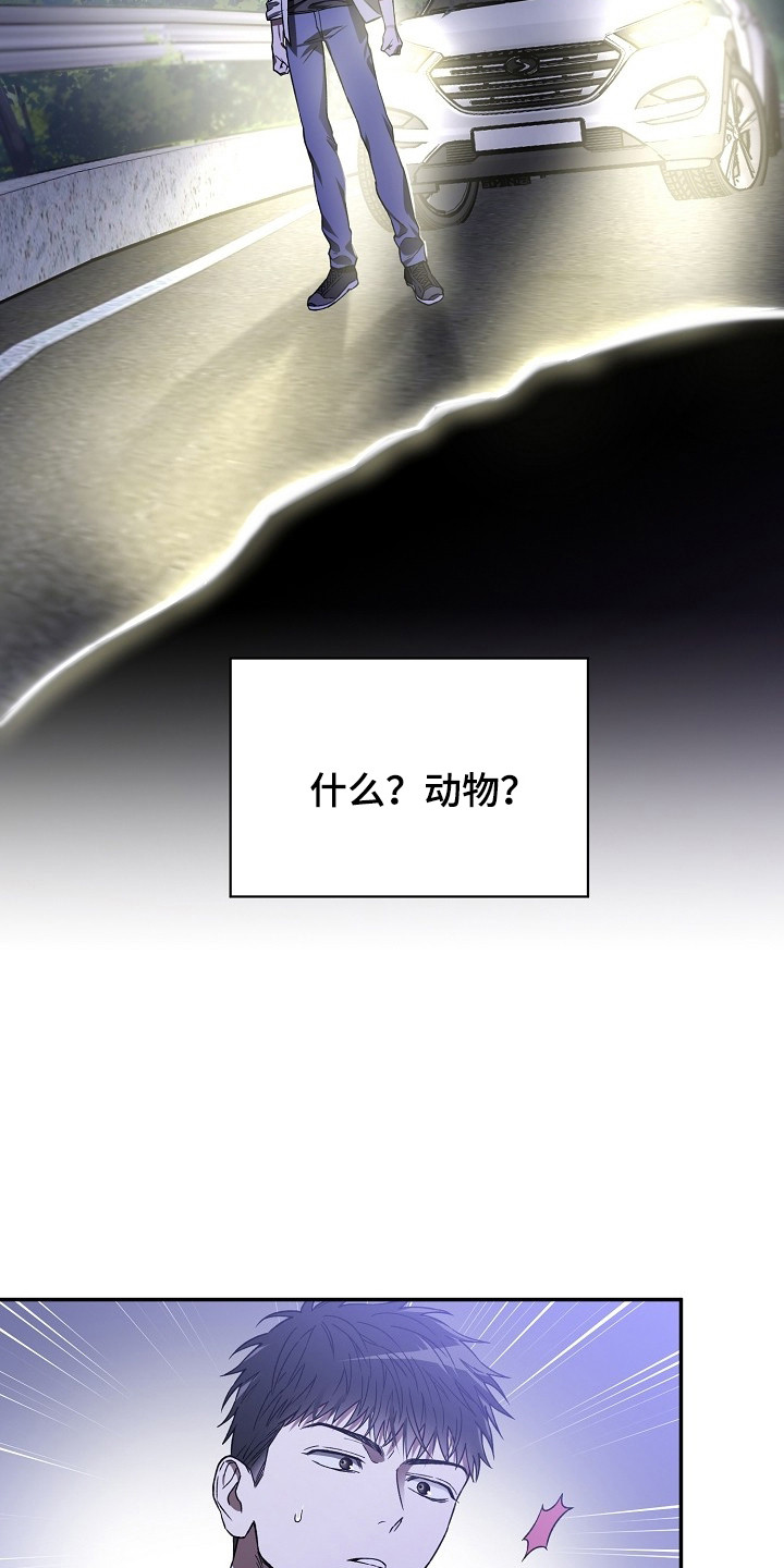 猛兽育儿书漫画,第3章：正巧撞见2图