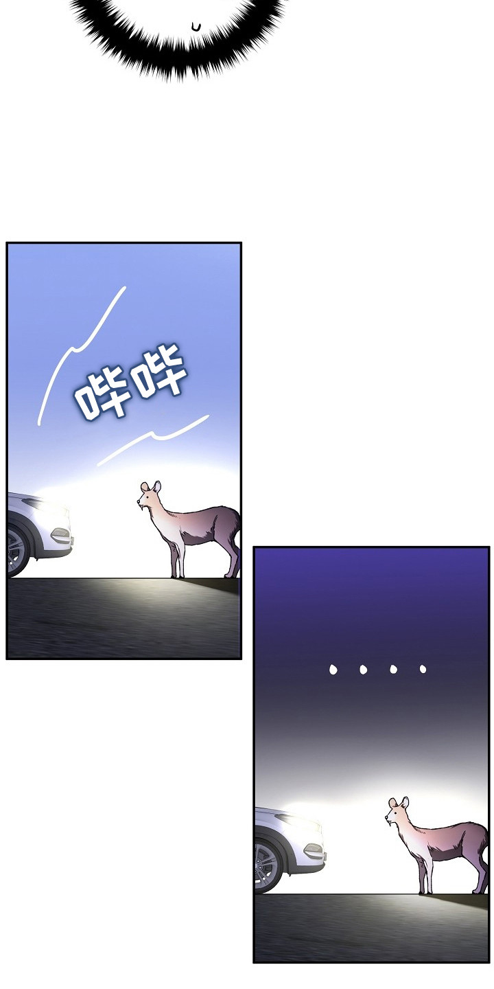 猛兽育儿书漫画,第3章：正巧撞见4图