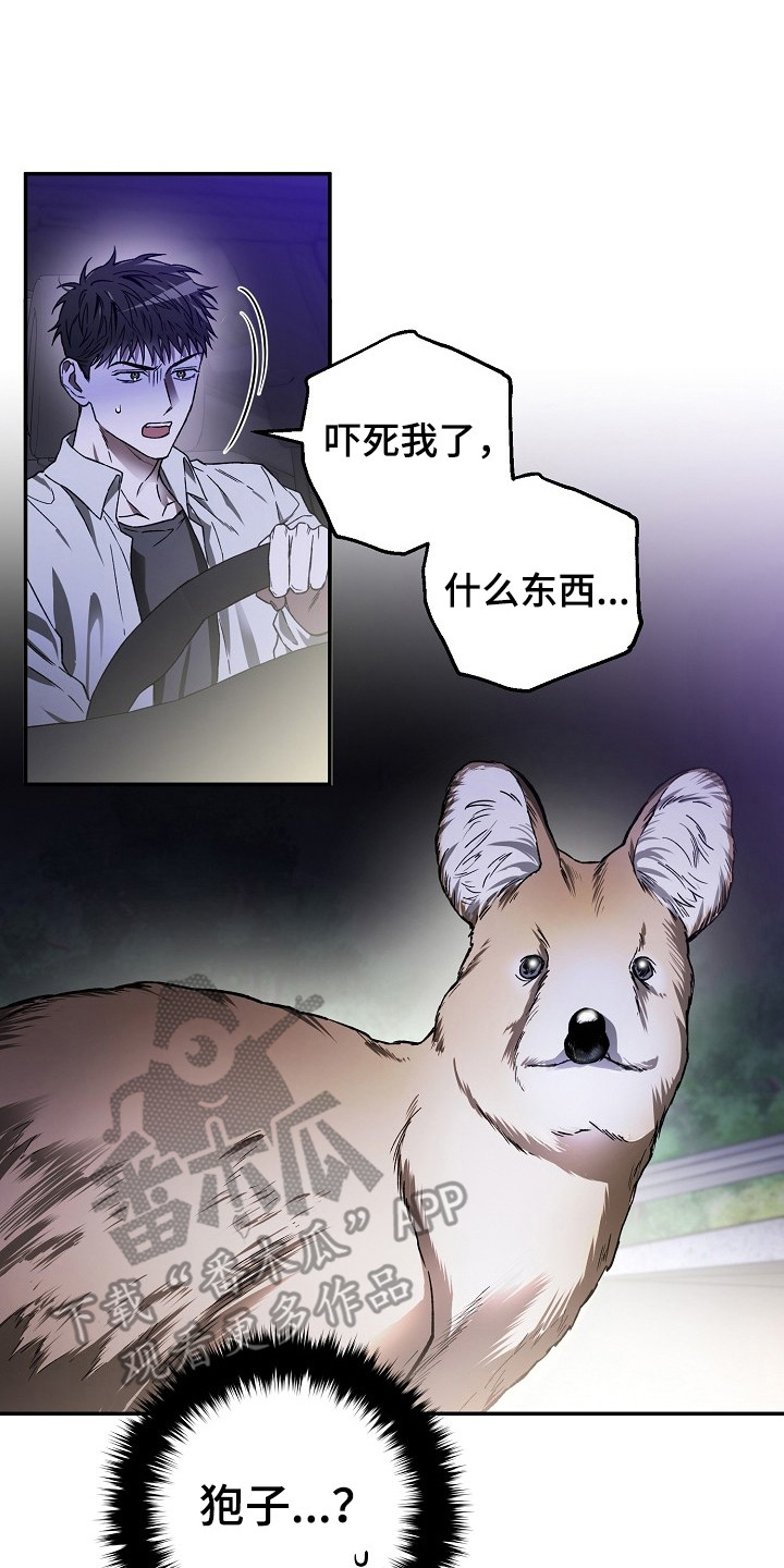 猛兽育儿书漫画,第3章：正巧撞见3图